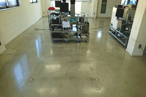 フローリングを機械で清掃するスタッフの画像